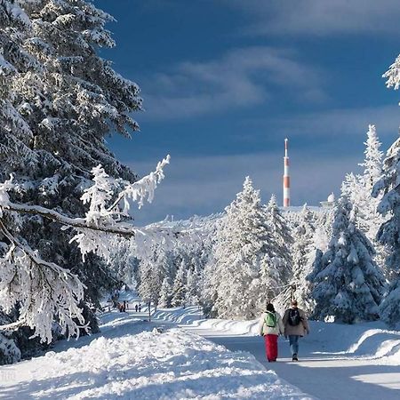Ferienwohnung Arnika Inklusive Waeschepaket Braunlage Dış mekan fotoğraf