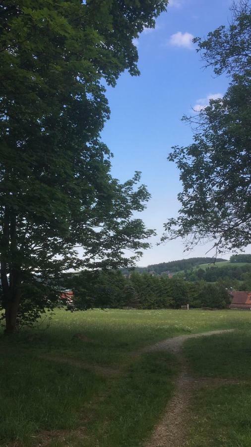Ferienwohnung Arnika Inklusive Waeschepaket Braunlage Dış mekan fotoğraf