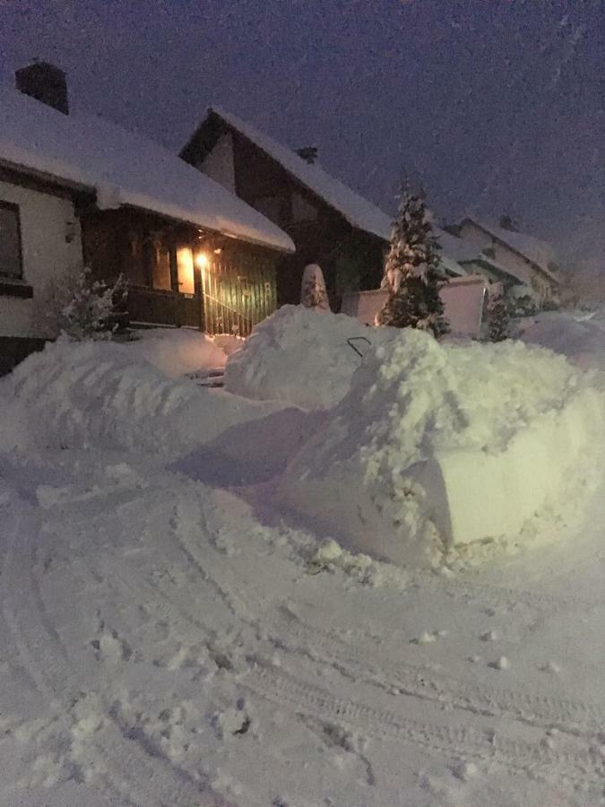 Ferienwohnung Arnika Inklusive Waeschepaket Braunlage Dış mekan fotoğraf