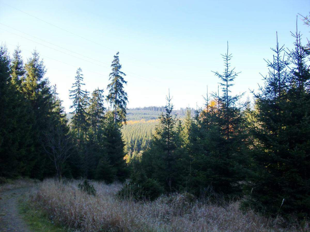 Ferienwohnung Arnika Inklusive Waeschepaket Braunlage Dış mekan fotoğraf