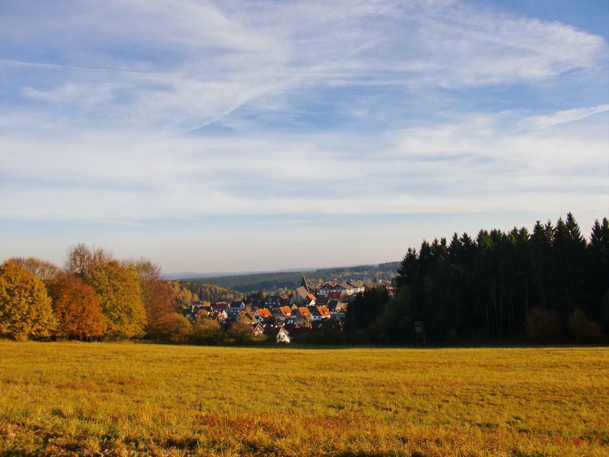 Ferienwohnung Arnika Inklusive Waeschepaket Braunlage Dış mekan fotoğraf