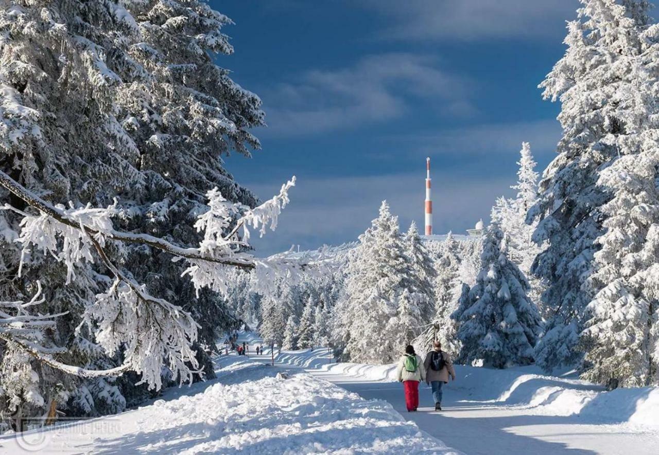 Ferienwohnung Arnika Inklusive Waeschepaket Braunlage Dış mekan fotoğraf